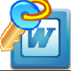 iSumsoft Word Password Refixer4.1.1