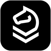 WPS黑马校对单机版v31.0.2.2